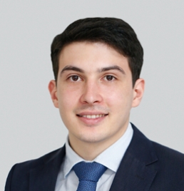 Lasha Mamardashvili